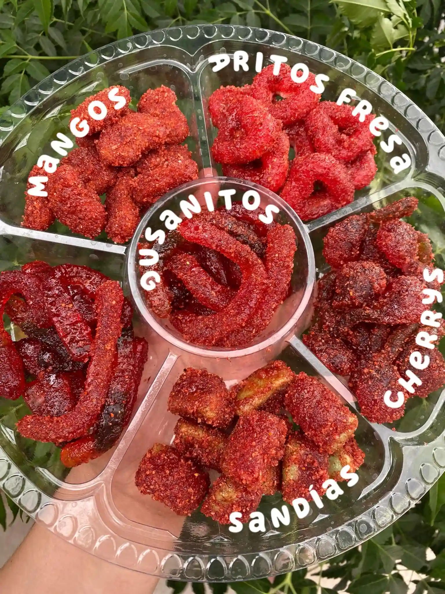 Chile&Chamoy  - archivo 2