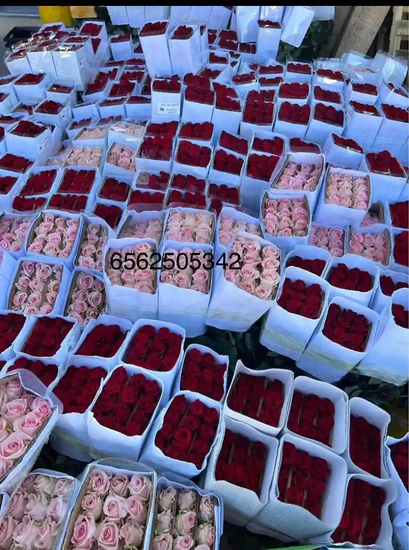Venta de flores naturales  - archivo 3