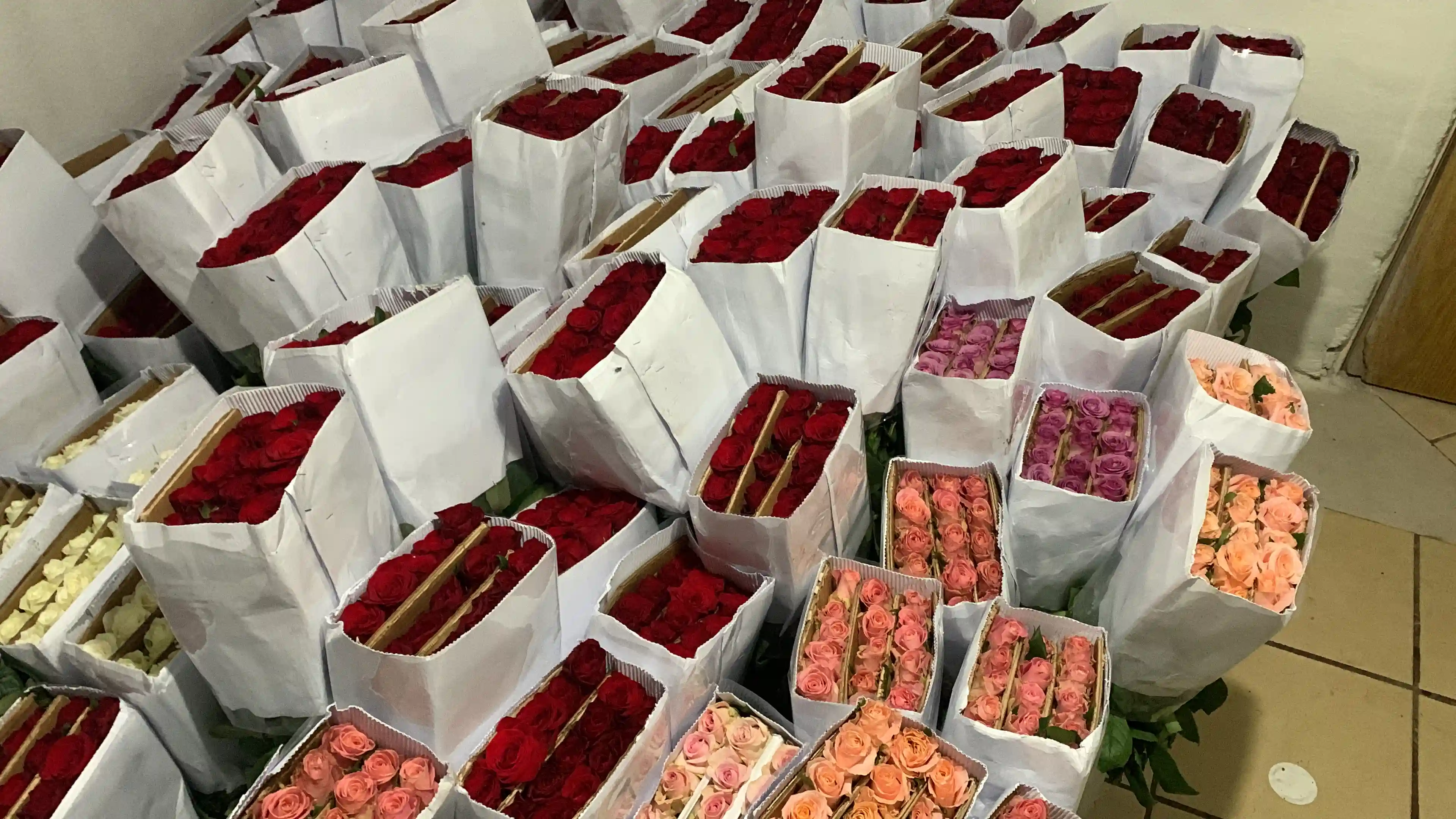Venta de flores naturales  - archivo 2