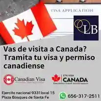 SERVICIOS MIGRATORIOS Y FISCALES - archivo 3