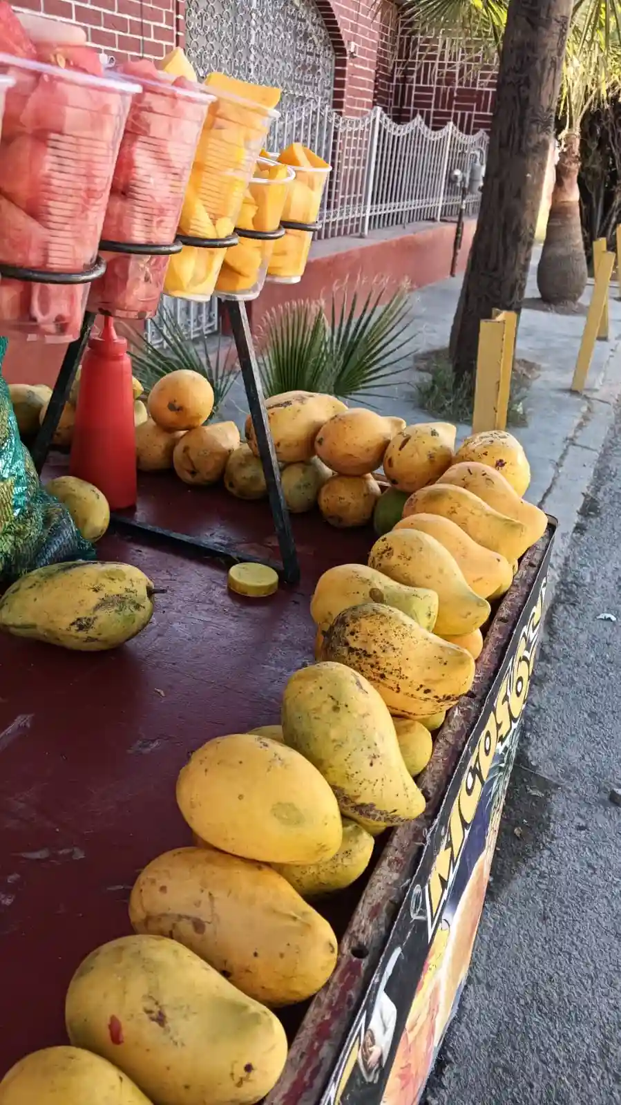 Fruta Fresca - archivo 2