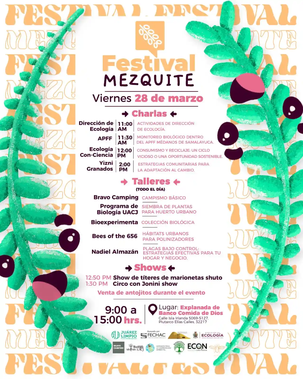 Sé parte del Festival del Mezquite - archivo 2
