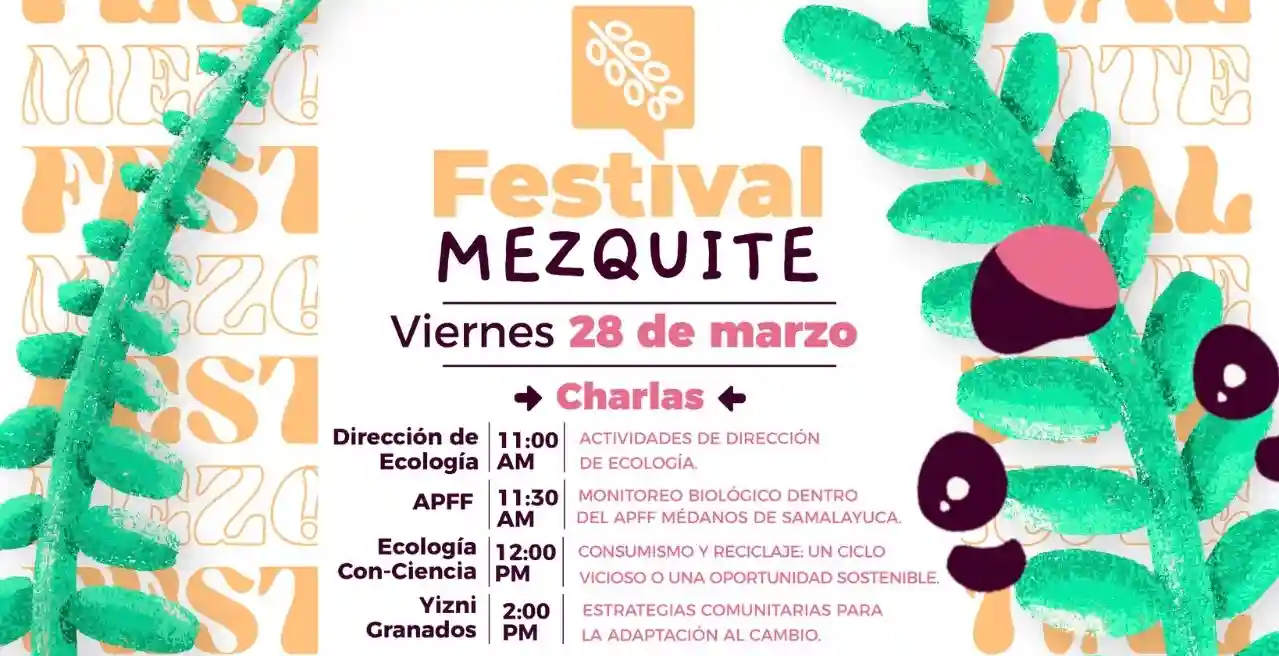 Sé parte del Festival del Mezquite - archivo 1