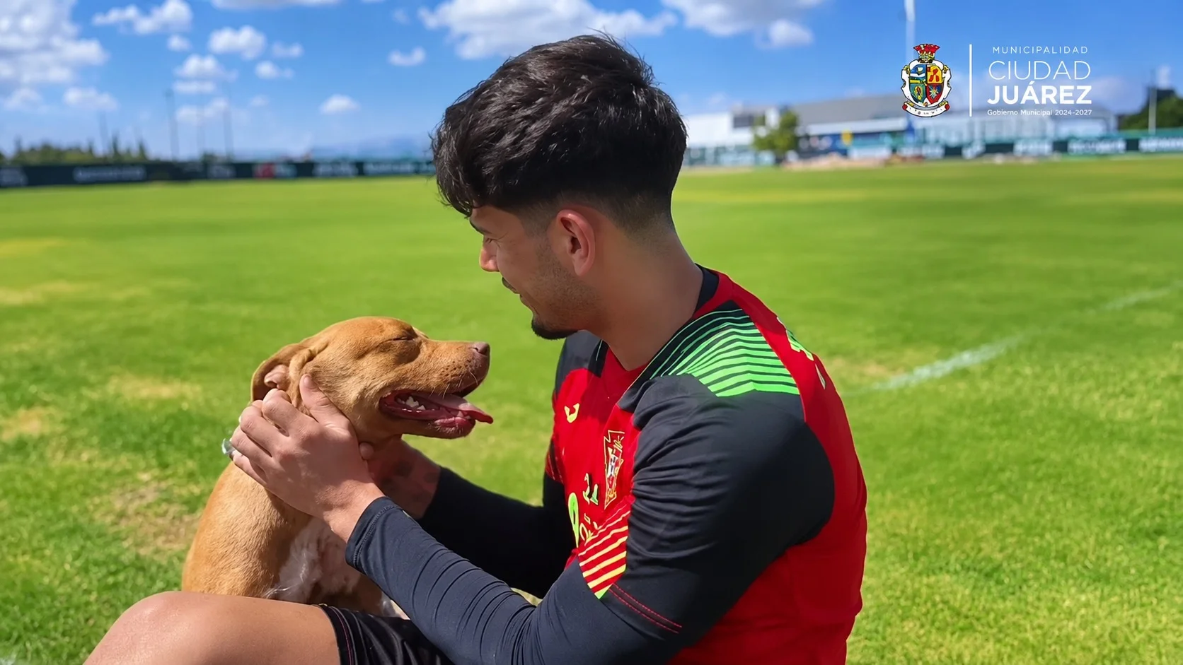 Lucha bravos contra el maltrato animal  - archivo 3