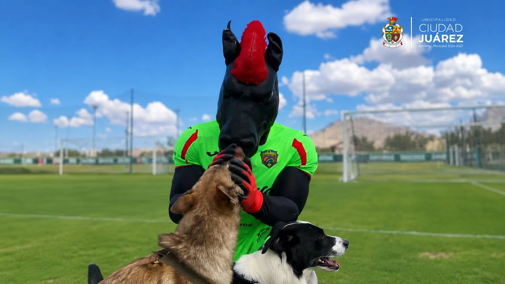 Lucha bravos contra el maltrato animal  - archivo 4