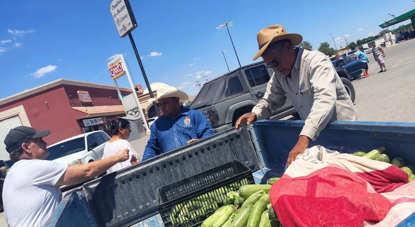 900 kilos de calabacitas gratis - archivo 3