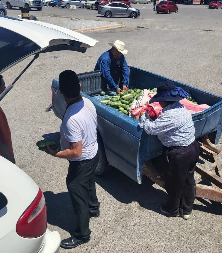 900 kilos de calabacitas gratis - archivo 4
