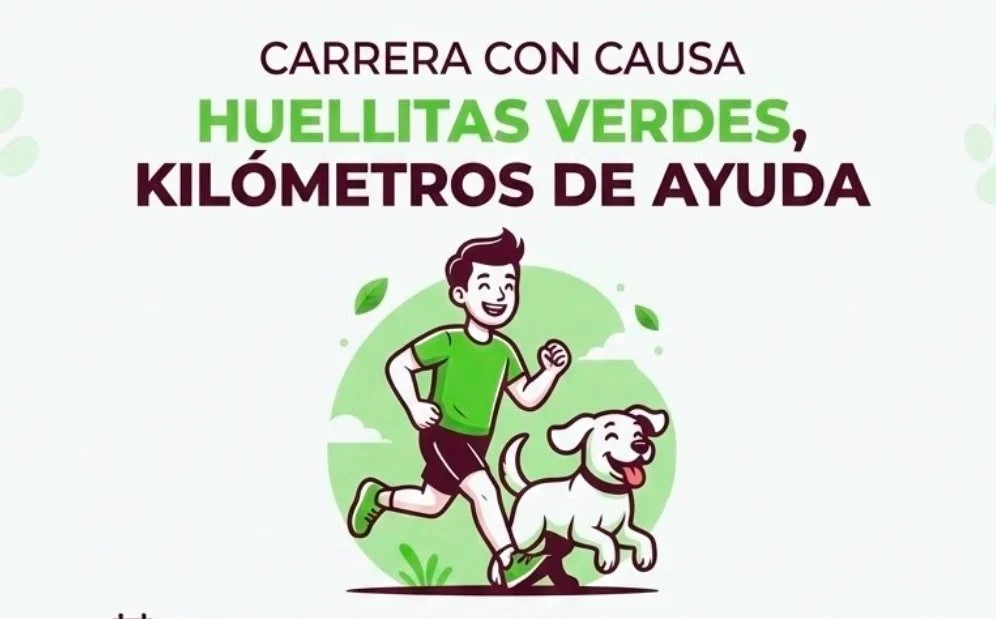 Corre con causa - archivo 4