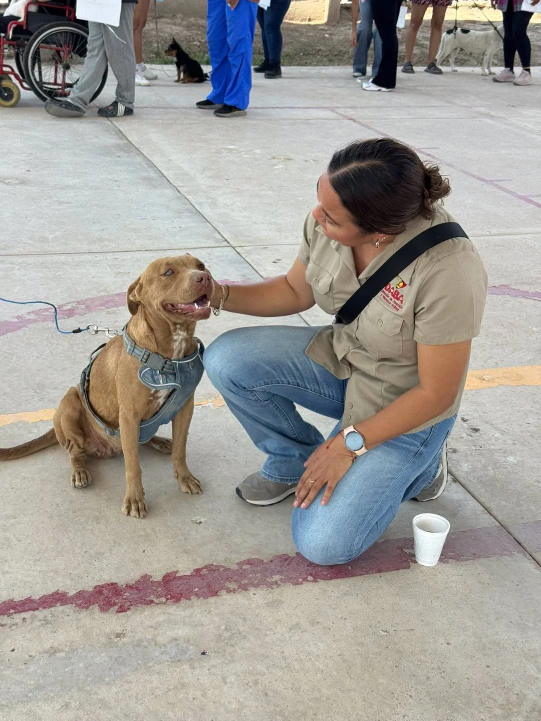 Julio: más acciones por el bienestar animal - archivo 1