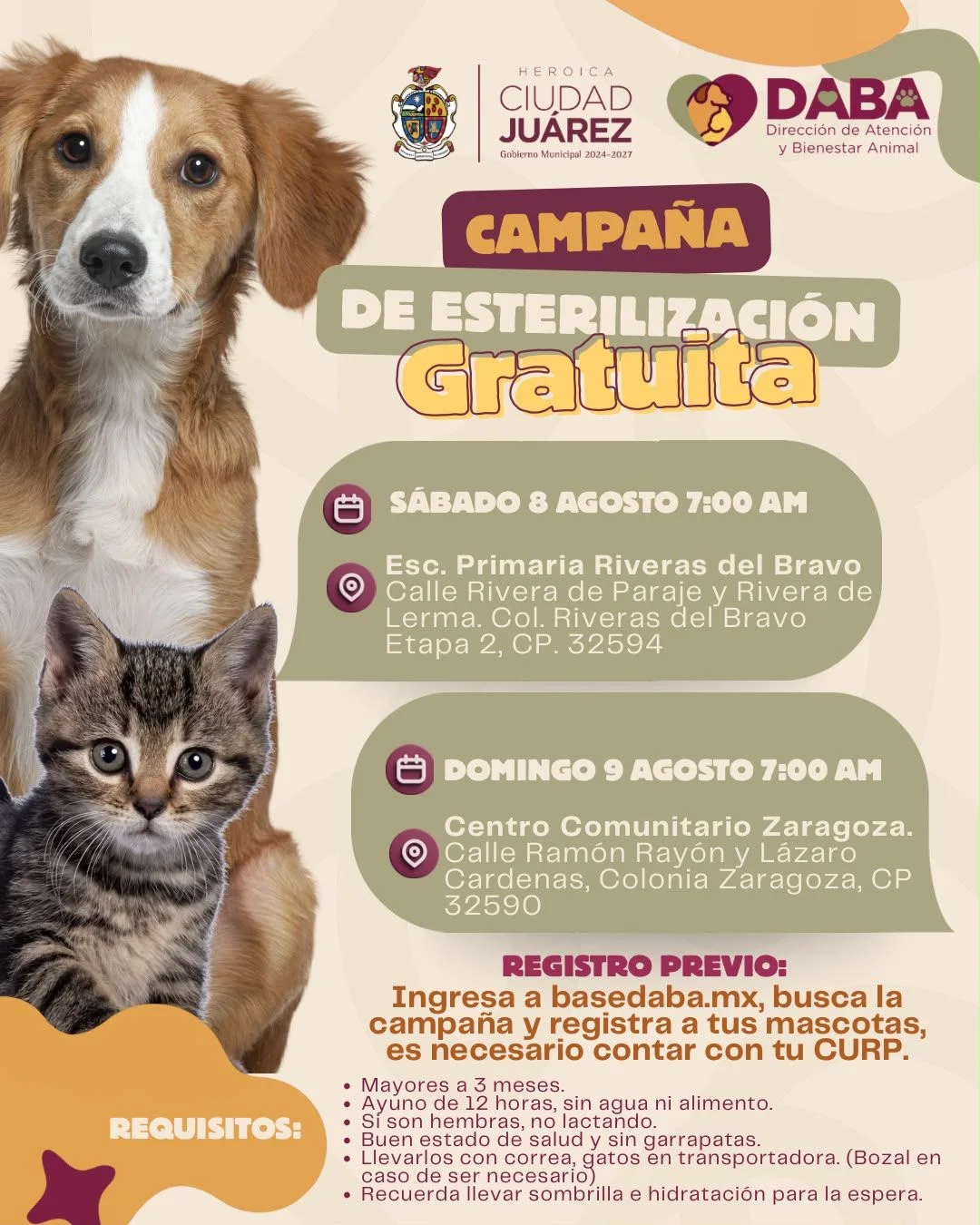 Campaña de esterilización gratuita - archivo 1