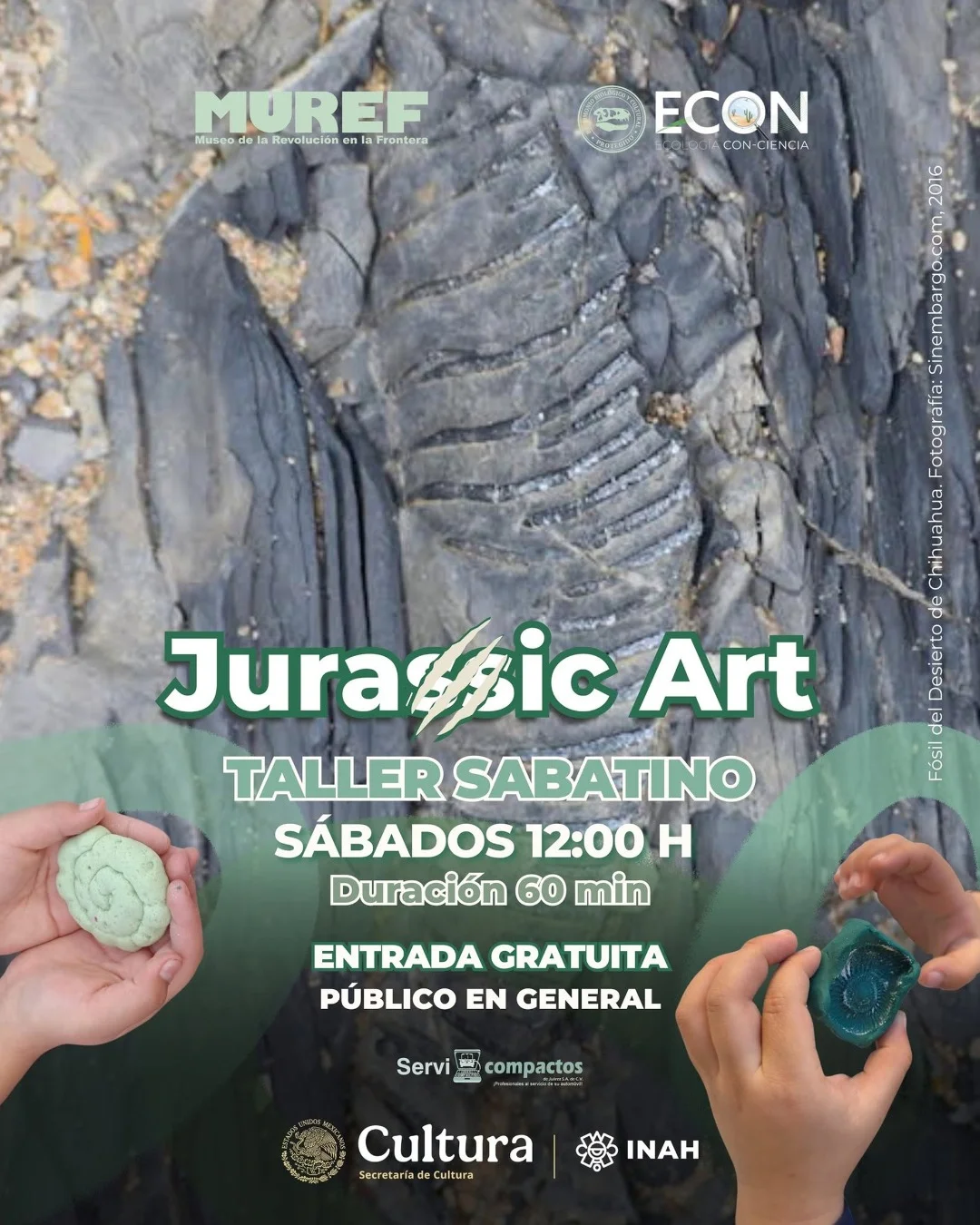 ¡Una aventura jurásica en el MUREF! - archivo 1