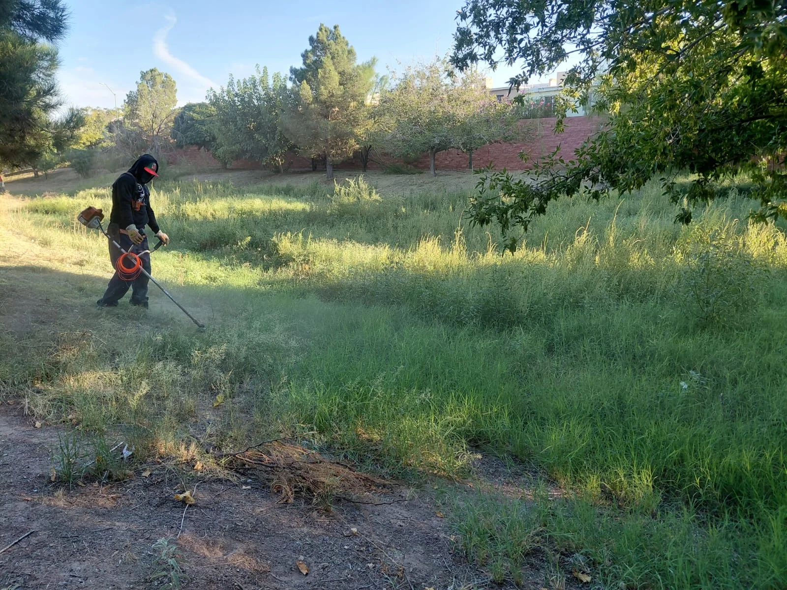 Continúa Juárez limpieza en parques - archivo 4