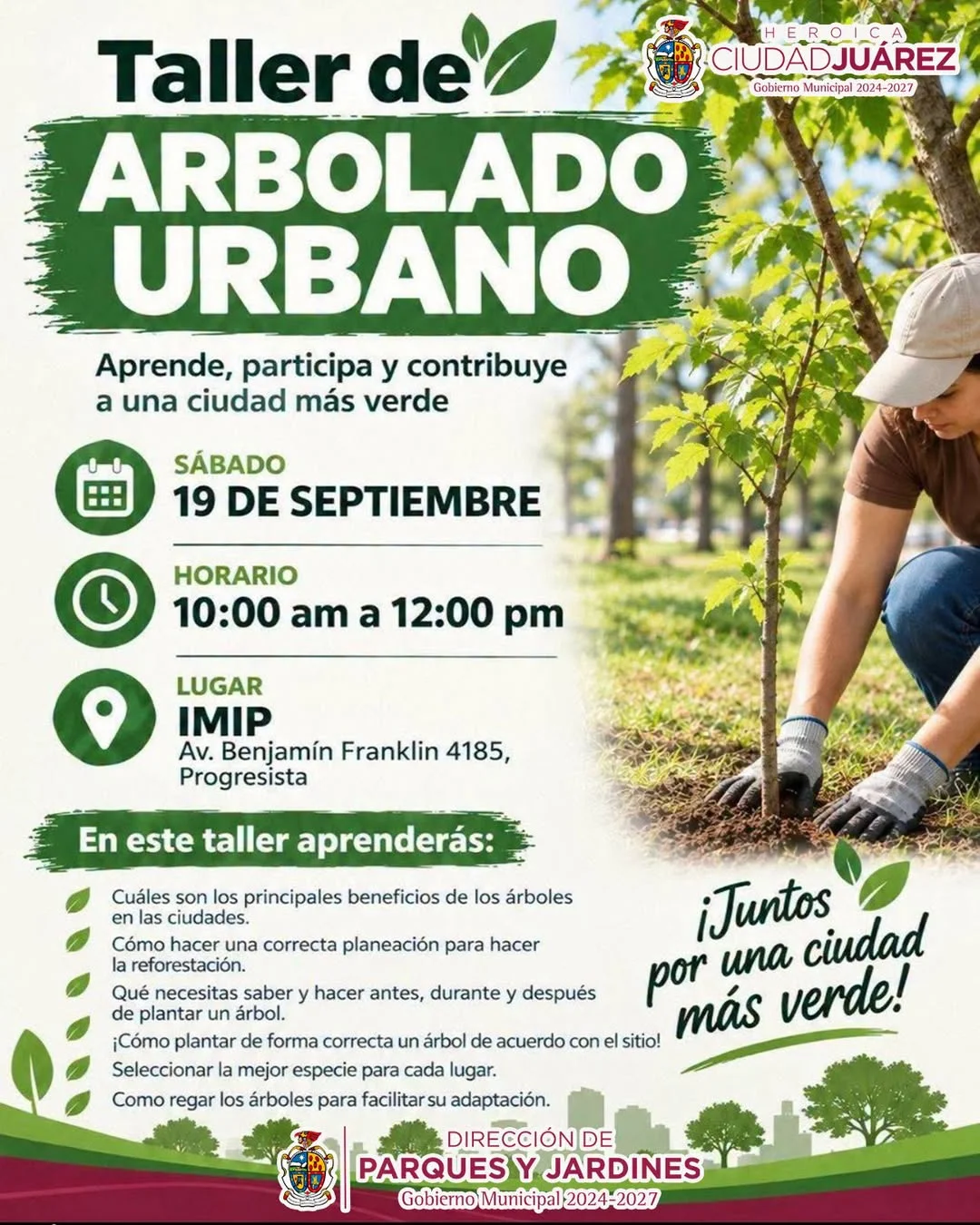 Buscarán un Juárez lleno de árboles  - archivo 3