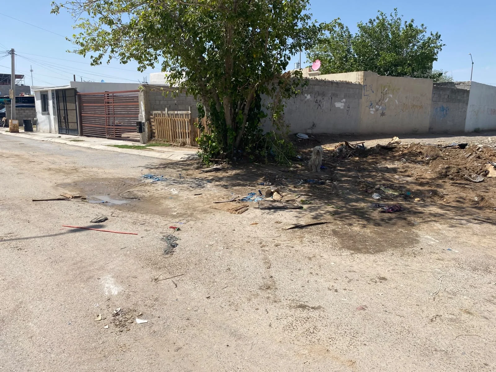 Limpian diques y calles en Juaritos - archivo 3